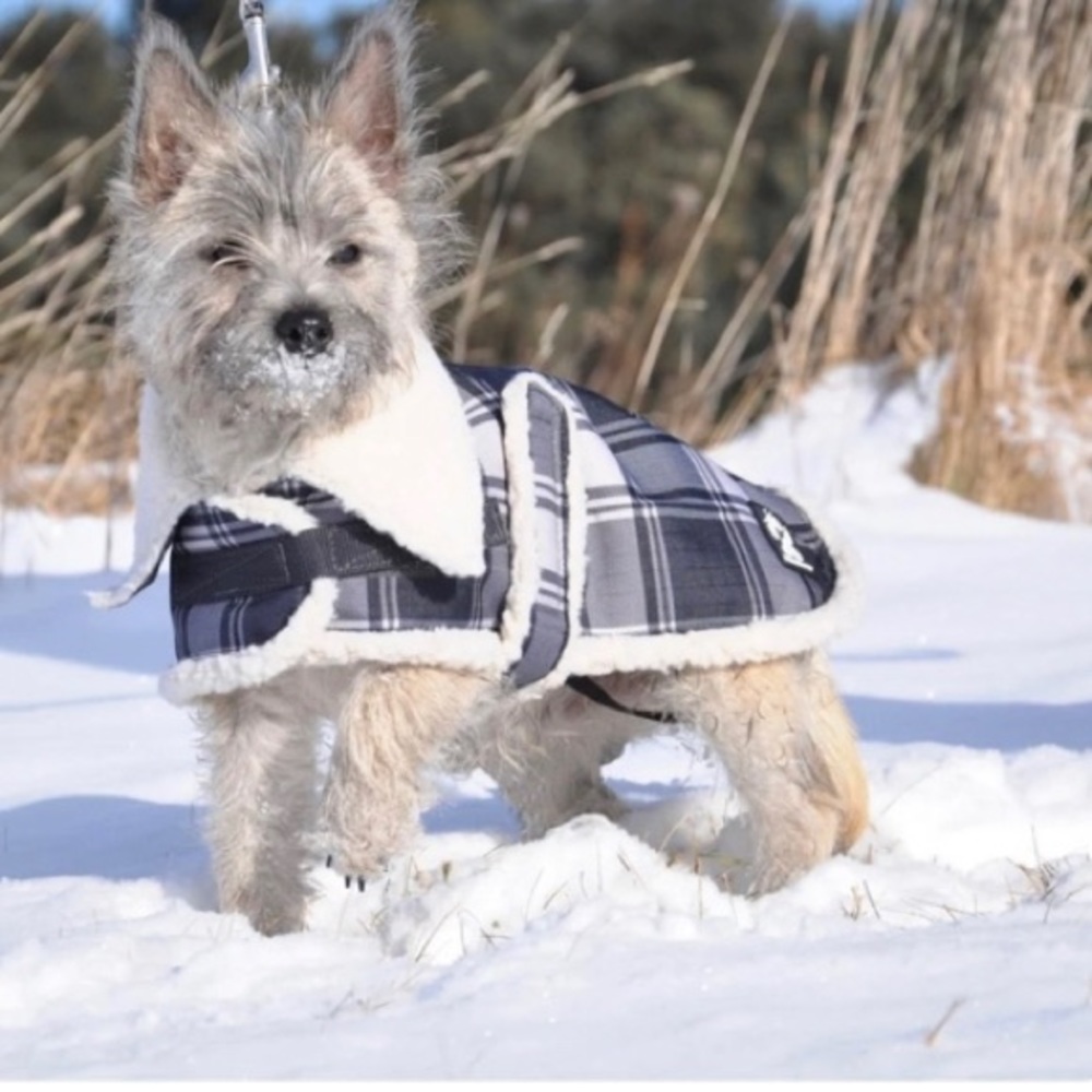 Shed row K9 dog coat Aspen xxs pet jacket plaid